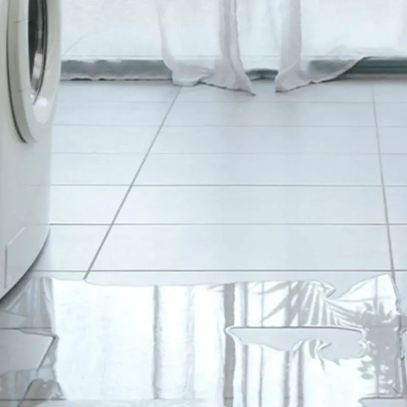 Appliance Leak Cleanup in Lake Arrowhead, CA
